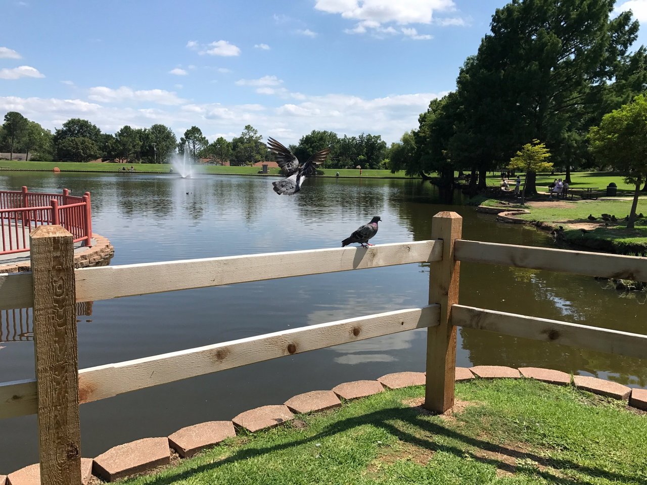 Bocce court construction in Hurst, TX